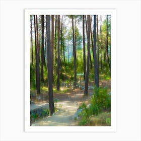 Path Through The Forest 202308181751276rt1pubpub Art Print