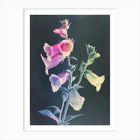 Iridescent Flower Foxglove 2 Art Print