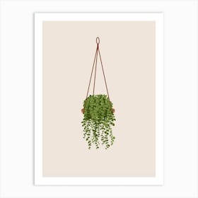 Hanging Peperomia Plant Art Print