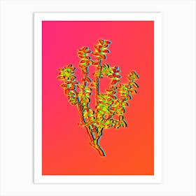 Neon Cape Myrtle Botanical in Hot Pink and Electric Blue n.0523 Art Print