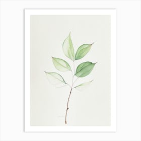 Viburnum Leaf Minimalist Watercolour 1 Art Print