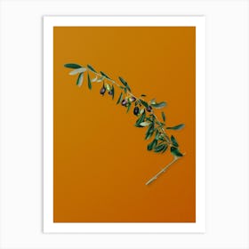 Vintage Olives Botanical on Sunset Orange n.0310 Art Print