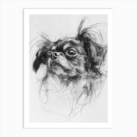 Tibetan Spaniel Dog Charcoal Line 2 Art Print