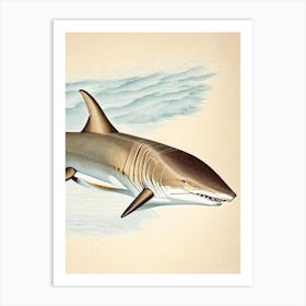 Sand Tiger Shark 3 Vintage Art Print