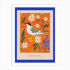 Spring Birds Poster Common Tern 2 Art Print