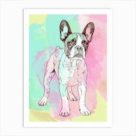 Boston Terrier Dog Pastel Line Painting 1 Art Print