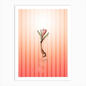 Spring Meadow Saffron Vintage Botanical in Peach Fuzz Awning Stripes Pattern n.0092 Art Print