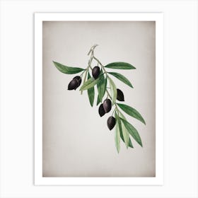 Vintage Olive Tree Branch Botanical on Parchment n.0624 Art Print