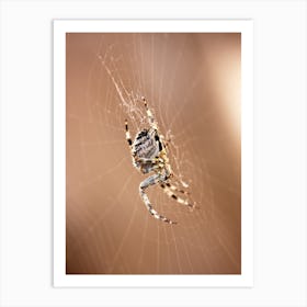 Spider Web Closeup (2009) Art Print