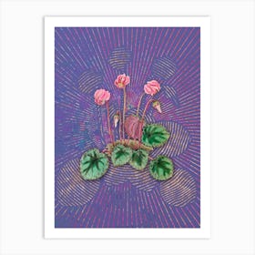 Vintage Shore Cyclamen Flower Botanical Illustration on Veri Peri n.0235 Art Print