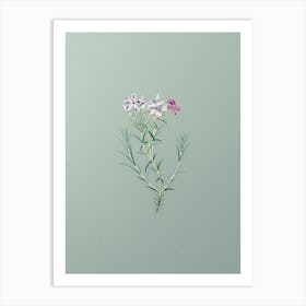 Vintage Shewy Phlox Flower Branch Botanical Art on Mint Green n.0368 Art Print