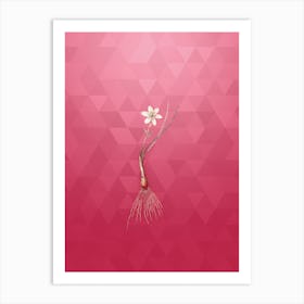 Vintage Snowdon Lily Botanical in Gold on Viva Magenta n.0140 Art Print