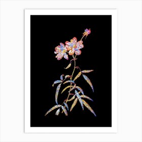 Stained Glass Peach Leaved Rose Mosaic Botanical Illustration on Black n.0097 Art Print