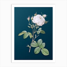 Vintage White Provence Rose Botanical Art on Teal Blue n.0571 Art Print