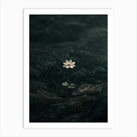 Flower In The Water 4 Art Print