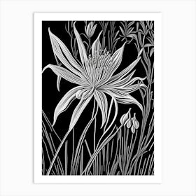 Spider Lily Wildflower Linocut 2 Art Print