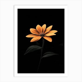 Single Orange Flower On Black Background 4 Art Print