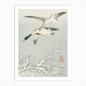 Two Wild Ducks In Flight (1900 1936), Ohara Koson Art Print
