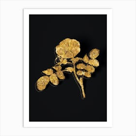 Vintage Japanese Rose Botanical in Gold on Black Art Print