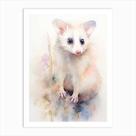 Light Watercolor Painting Of A Posing Possum 2 Art Print