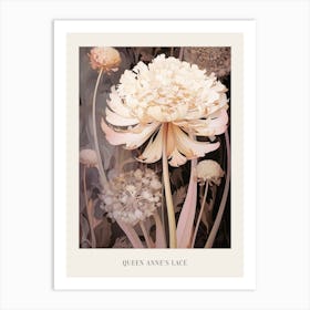 Floral Illustration Queen Annes Lace 2 Poster Art Print