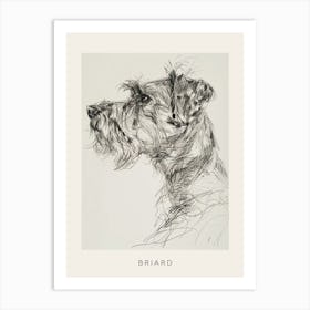 Briard Dog Line Sketch 2 Poster Art Print