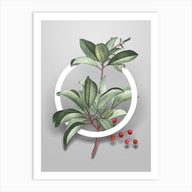 Vintage Greek Strawberry Tree Minimalist Floral Geometric Circle on Soft Gray n.0181 Art Print