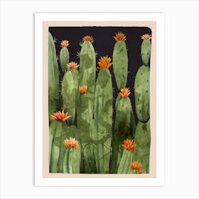 Blooming Cactus 2 Art Print