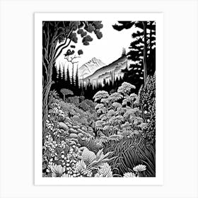 Giardino Botanico Alpino Di Pietra Corva,  Italy Linocut Black And White Vintage Art Print