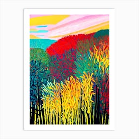 Everglades National Park United States Of America Abstract Colourful Art Print