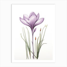 Saffron Vintage Botanical Herbs 0 Art Print