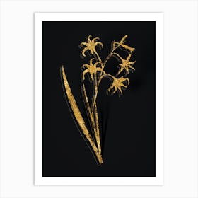 Vintage Gladiolus Cuspidatus Botanical in Gold on Black 1 Art Print