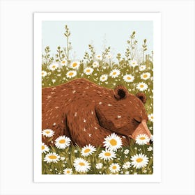 Brown Bear Resting In A Field Of Daisies Storybook 4 Art Print