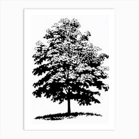 Maple Tree Simple Geometric Nature Stencil 2 1 Art Print