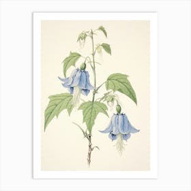 Kikyo Chinese Bellflower 2 Vintage Japanese Botanical Art Print