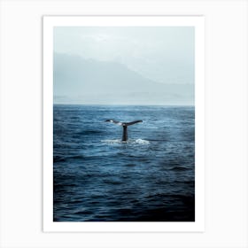 Whale Watching In Kaikoura, New Zealand Art Print
