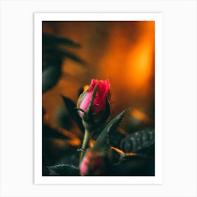 Poster Flower Art Print 1 Art Print