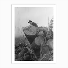 Untitled Photo, Possibly Related To The Choker Puts Choker Loop On Log For Transporting From Woods To Yard By Art Print