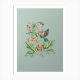 Vintage Red Loasa Flower Botanical Art on Mint Green n.0069 Art Print