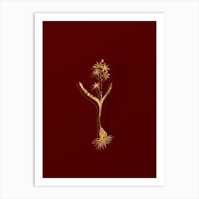 Vintage Alpine Squill Botanical in Gold on Red n.0251 Art Print