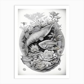 Doitsu Hariwake Koi 1, Fish Haeckel Style Illustastration Art Print