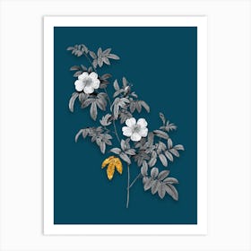 Vintage Musk Rose Black and White Gold Leaf Floral Art on Teal Blue n.0489 Art Print