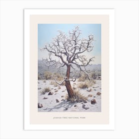 Dreamy Winter National Park Poster  Joshua Tree National Park United States Art Print