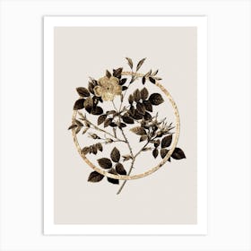 Gold Ring Malmedy Rose Glitter Botanical Illustration Art Print