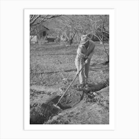 Fruit Farmer Clearing Out Irrigation Ditch, Placer County, California, Irrigated Farming Is A New Thing To This Man Wh Art Print