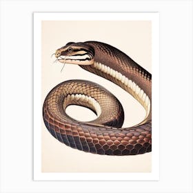 Philippine Cobra Vintage Art Print