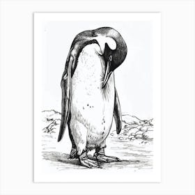 Emperor Penguin Grooming Their Feathers 1 Art Print