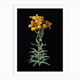 Vintage Fire Lily Botanical Illustration on Solid Black n.0591 Art Print