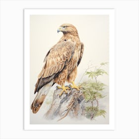 Vintage Bird Drawing Eagle 1 Art Print