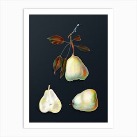 Vintage Pear Botanical Watercolor Illustration on Dark Teal Blue n.0022 Art Print